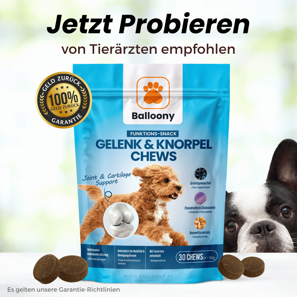 Gelenk & Knorpel Chews für Hunde