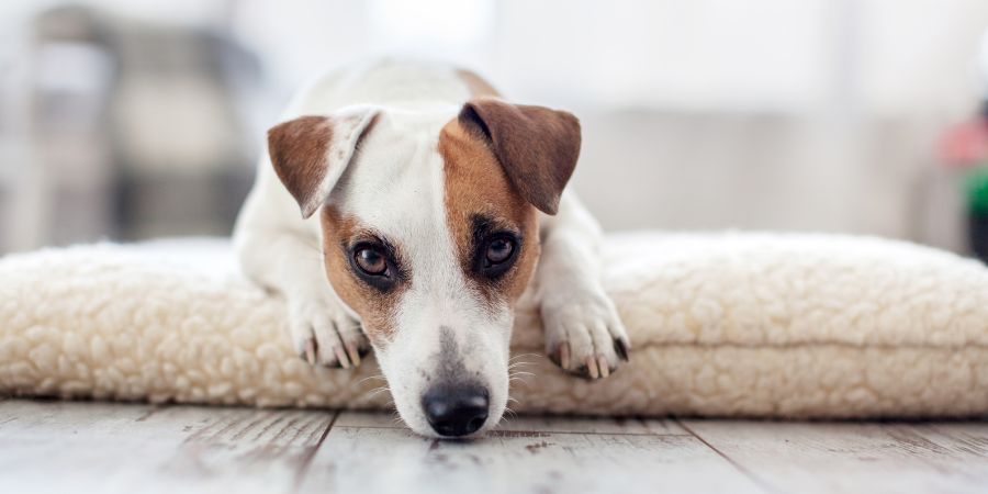 Stress reduzieren: Praktische Tipps für eine ruhige Umgebung