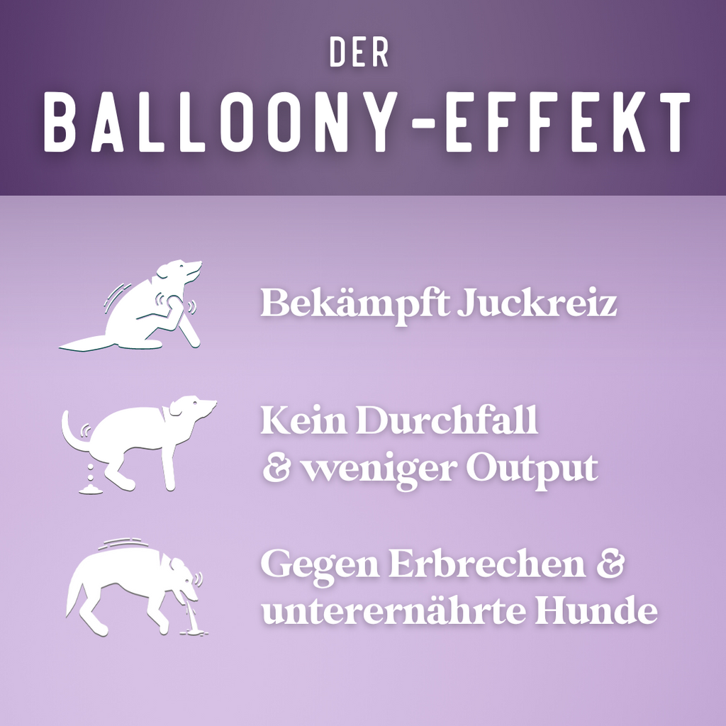 BALLOONY Probierpaket Vegan - Balloony.pet