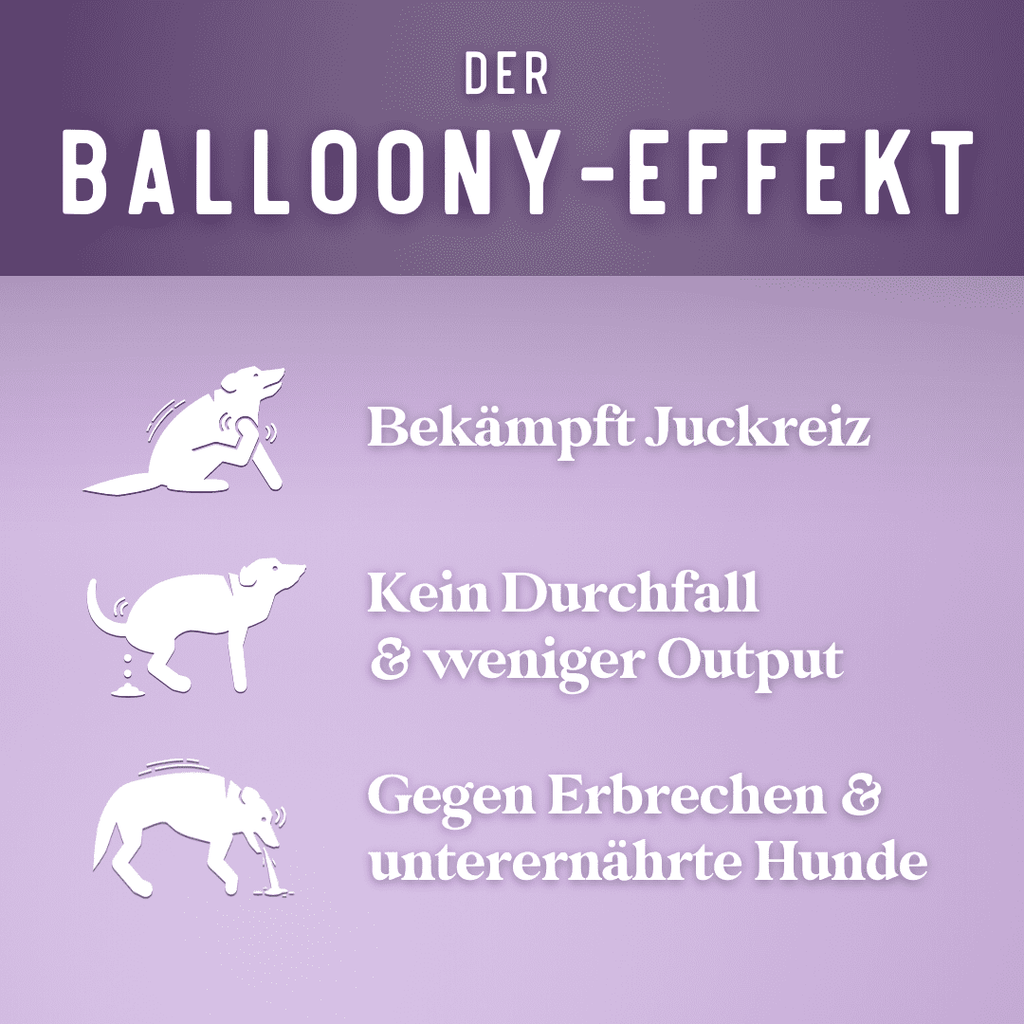 Kichererbsen & Linsen Paket - Balloony.pet