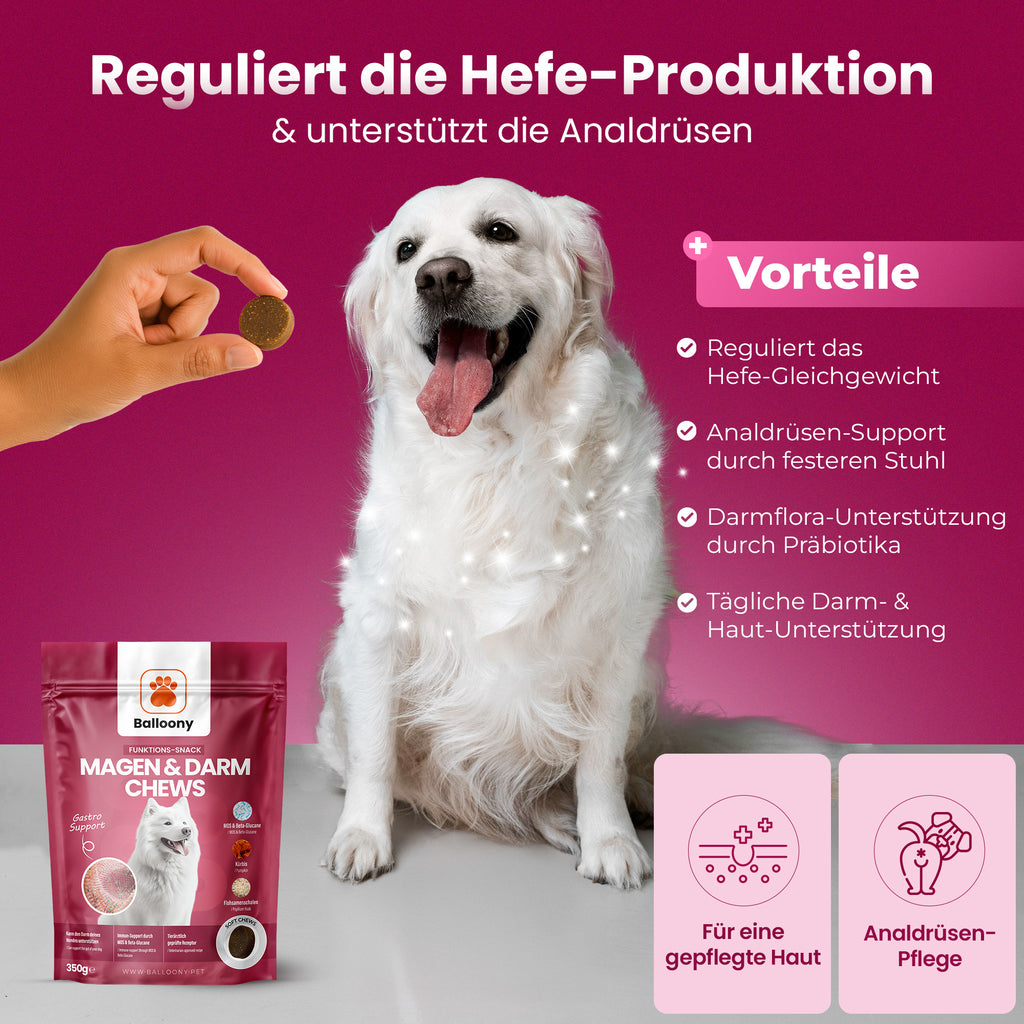 Magen-Darm Chews für Hunde - Balloony.pet
