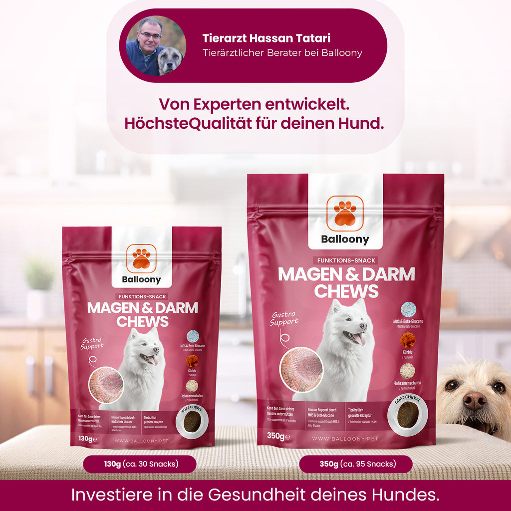 Magen-Darm Chews für Hunde - Balloony.pet