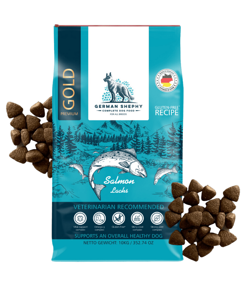 Hypoallergenes Hundefutter: Superfood Lachs - Balloony.pet