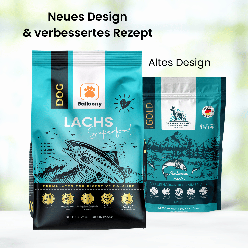 Balloony neues Lachs-Trockenfutter für Hunde mit verbessertem Rezept und modernem Design. Hochwertiges, präbiotisches Hundefutter für eine gesunde Verdauung.