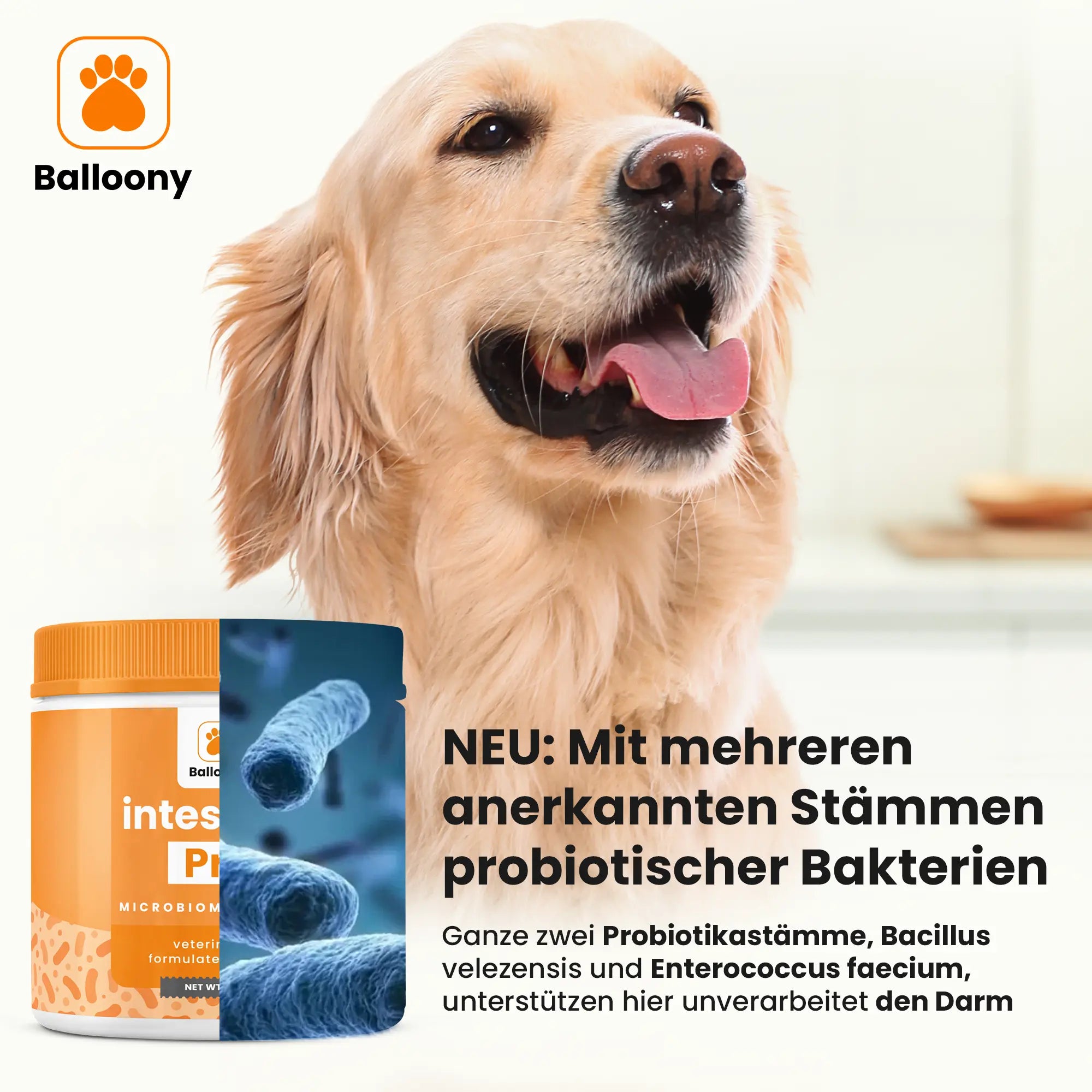 intestinalPro: Darmpulver für Hunde