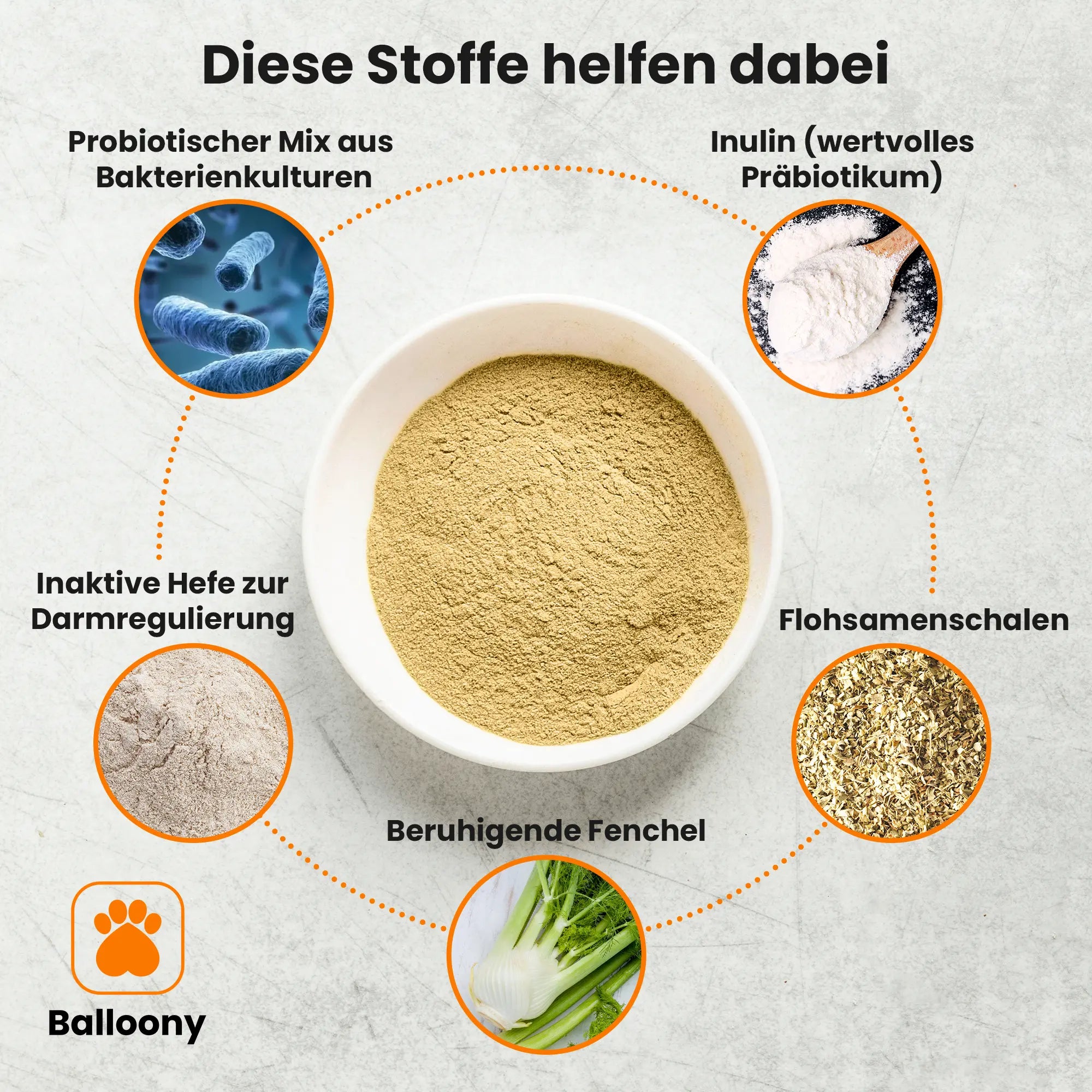 intestinalPro: Darmpulver für Hunde