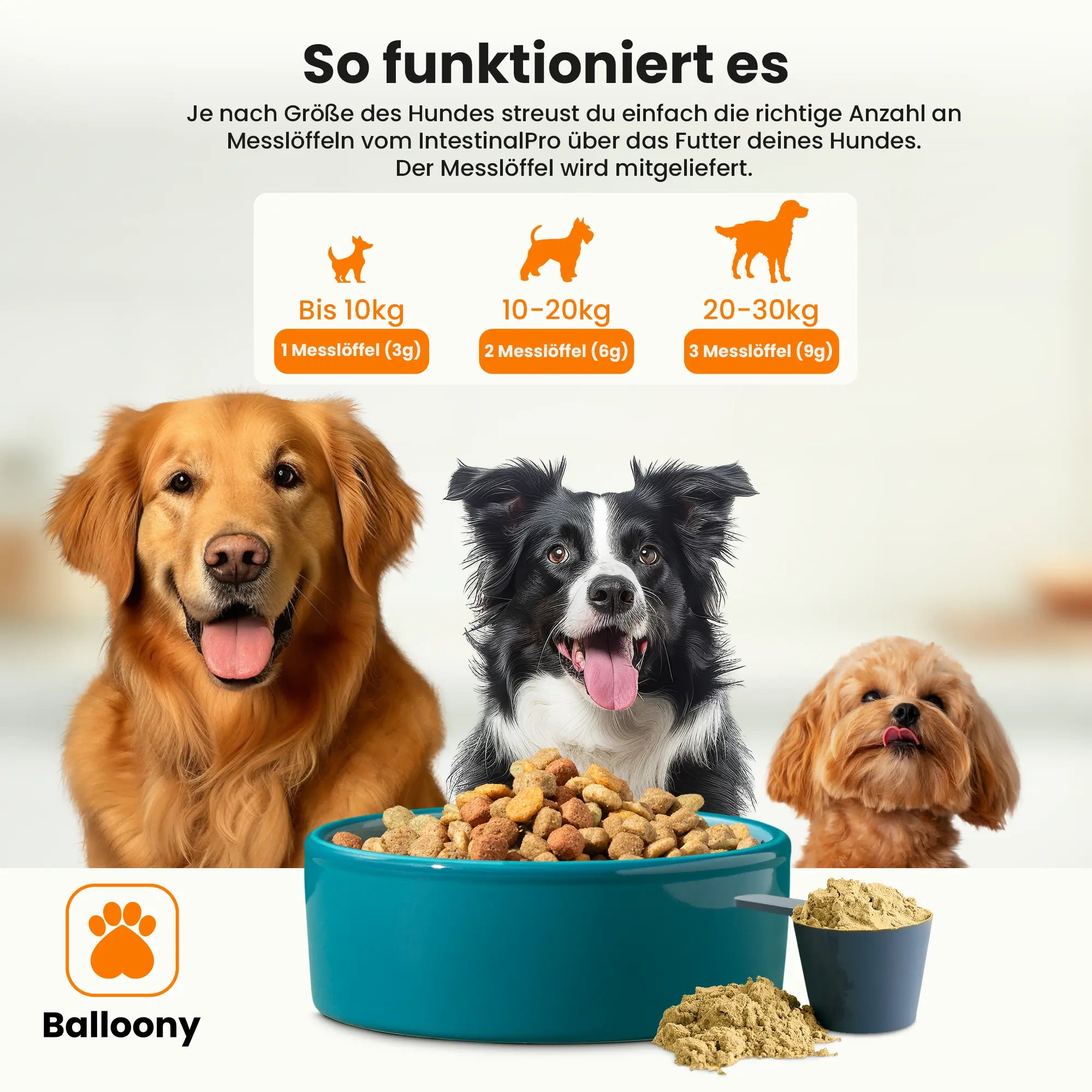 intestinalPro: Darmpulver für Hunde