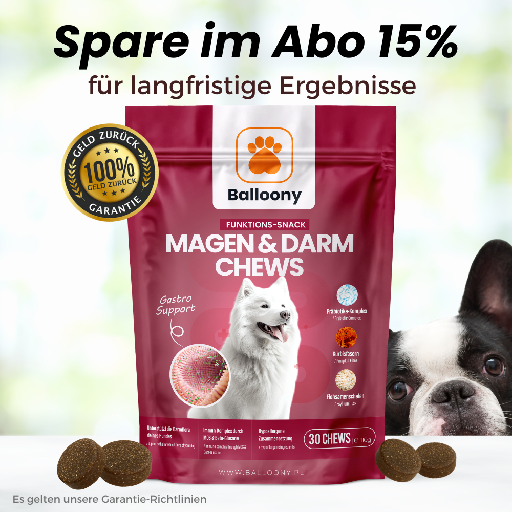 Magen-Darm Chews für Hunde - Balloony.pet