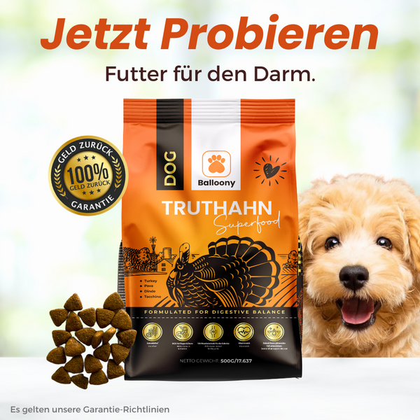 Superfood Truthahn