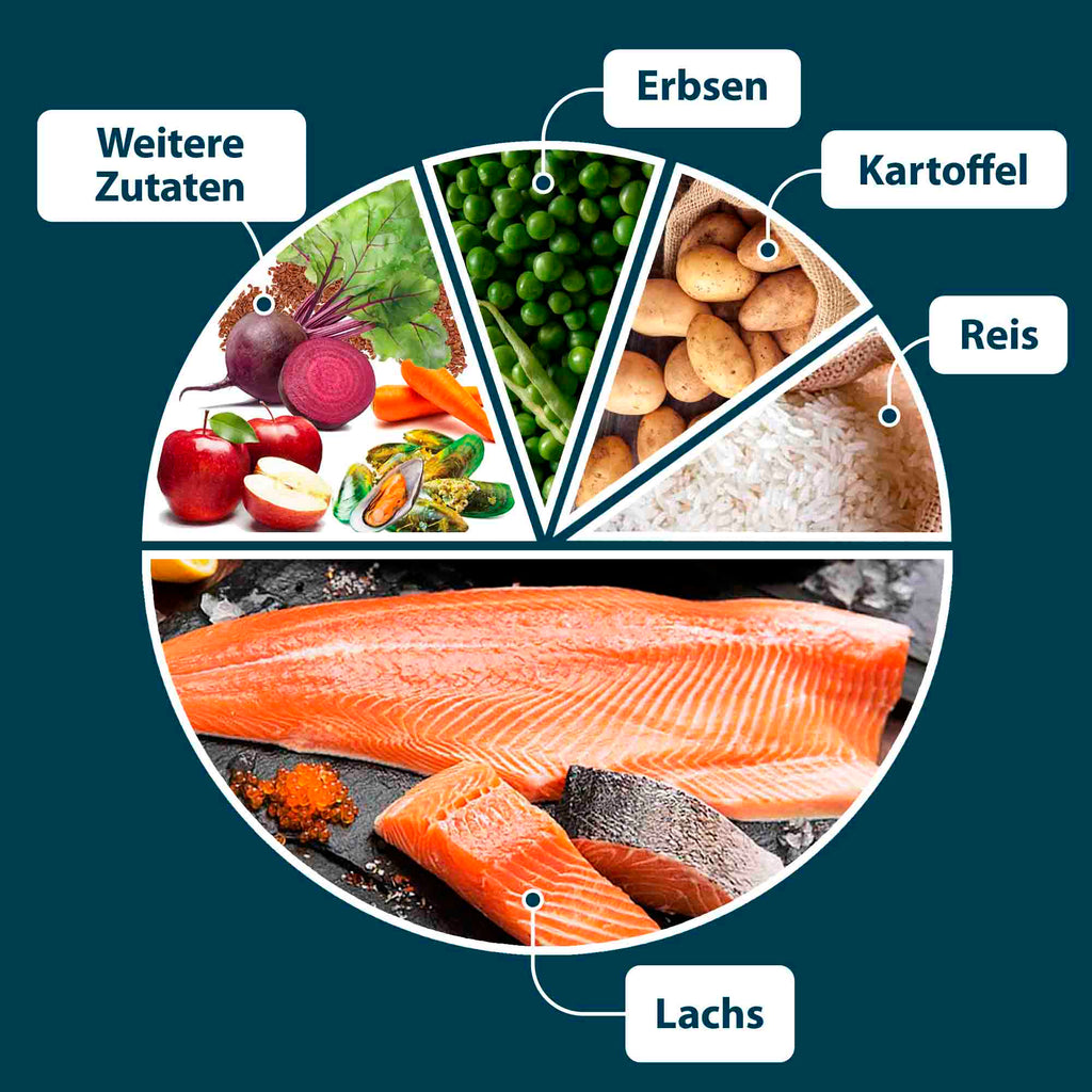 Superfood Lachs - Balloony.pet