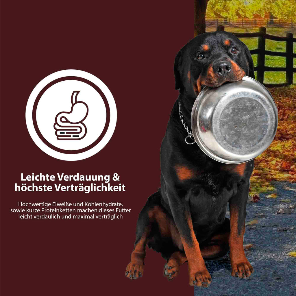 Superfood Truthahn - German Shephy